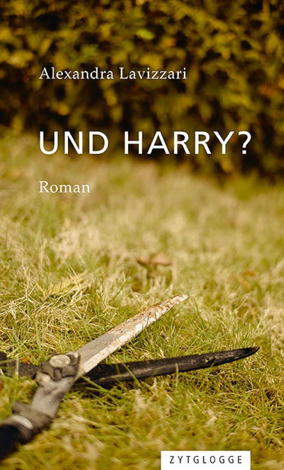 Und Harry?: Roman (German Edition)