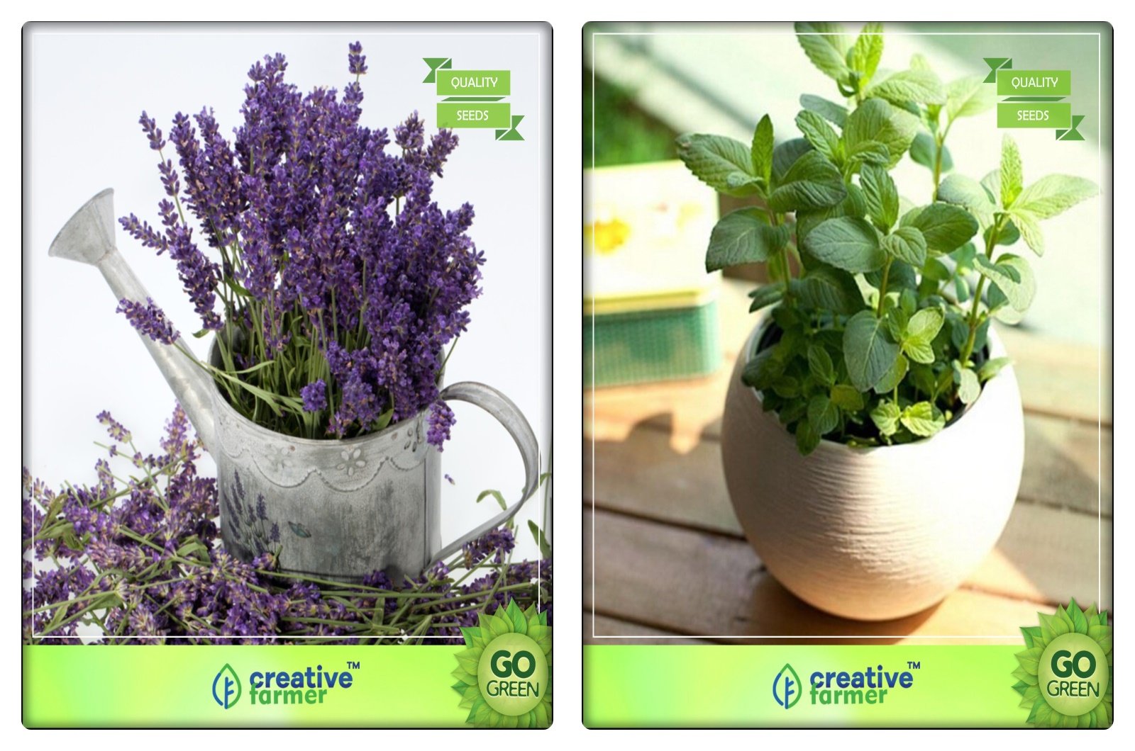 Creative Farmer Herb Plant Seeds Lavender, Lemon Basil Herb Seeds Combo Pack (B078V51LGG) Amazon Price History, Amazon Price Tracker