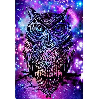 OWN4B Cross Stitch Embroidery Kits Pre-Printed Colourful Owl Pictures 11CT 14.2 x 18.1 Inch DIY Embroidery Kit Set