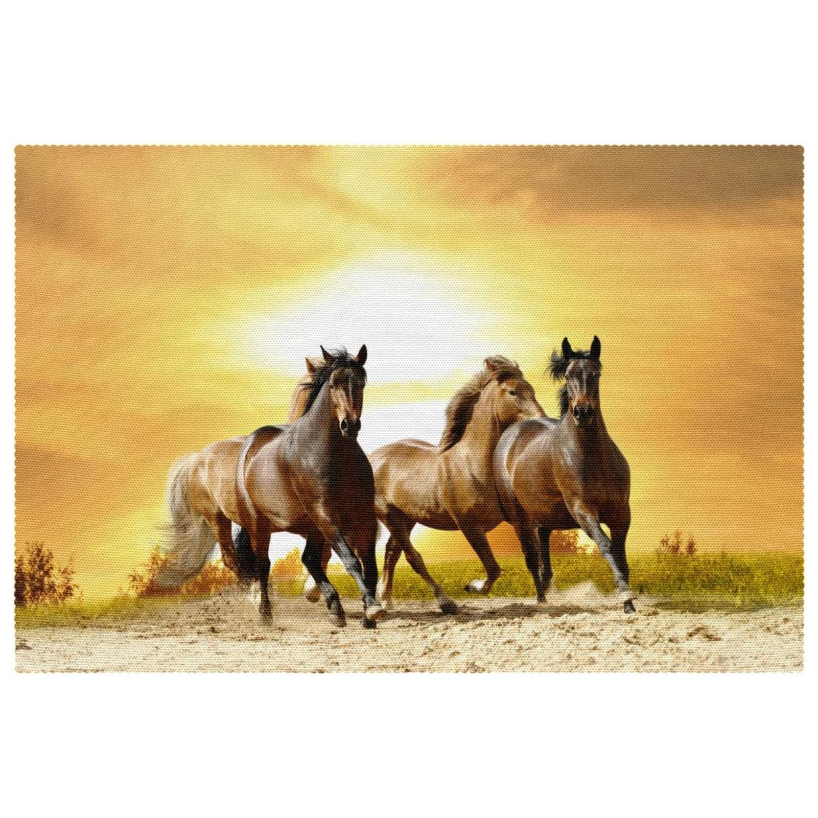 Set de table chevaux antidérapant résistant à la chaleur x6