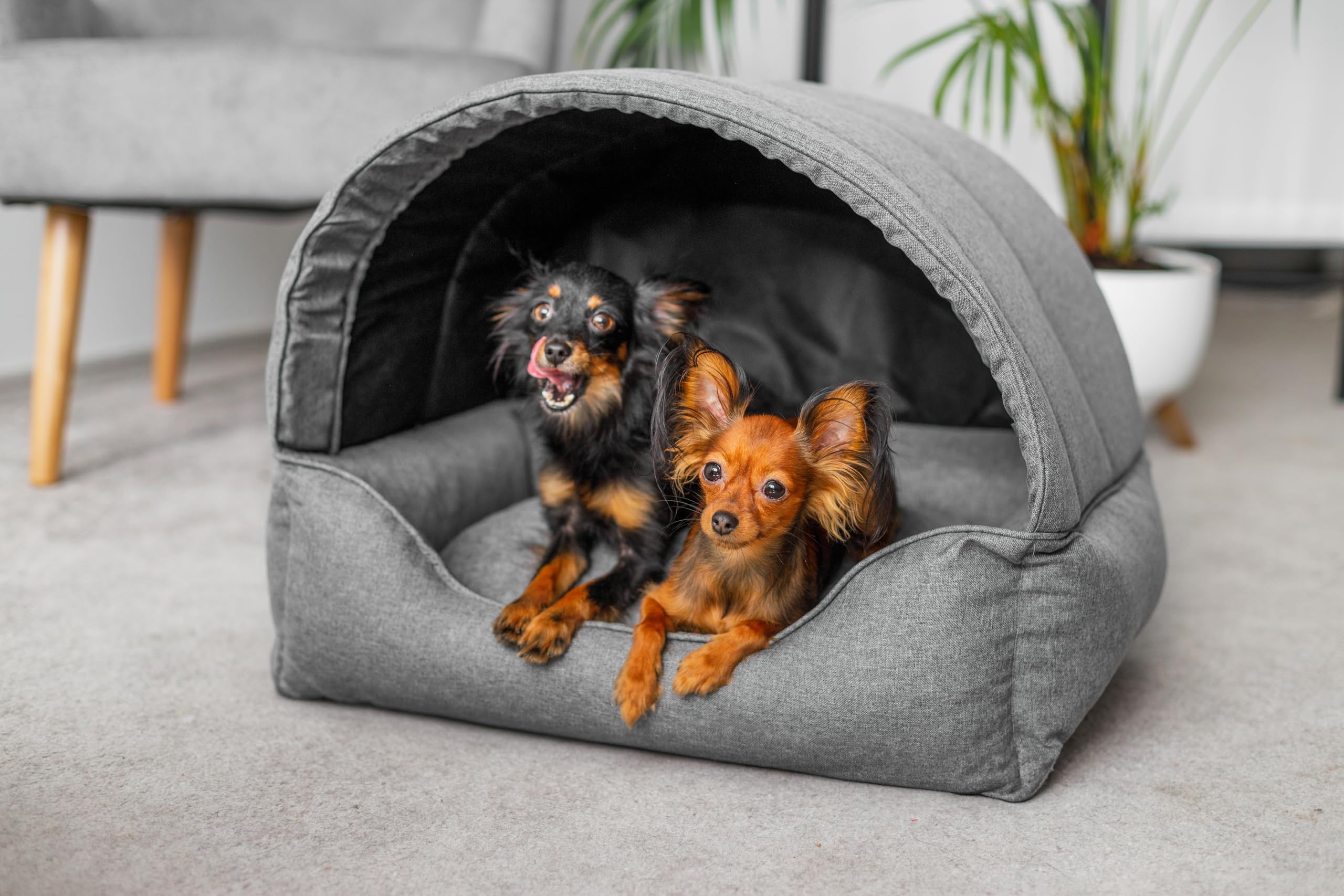 Hundebett & Hundehütte in einem - Hundehaus mit Dach für kleine und mittelgroße Hunde - Hundehöhle - Hundebox - Hundesofa - Bezug abnehmbar & waschbar - stabiles Hundekorb - 60x 47 cm