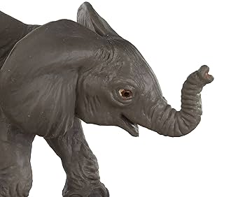 Elephantさま専用 Elephant, Asian, African, Museum Quality Plastic