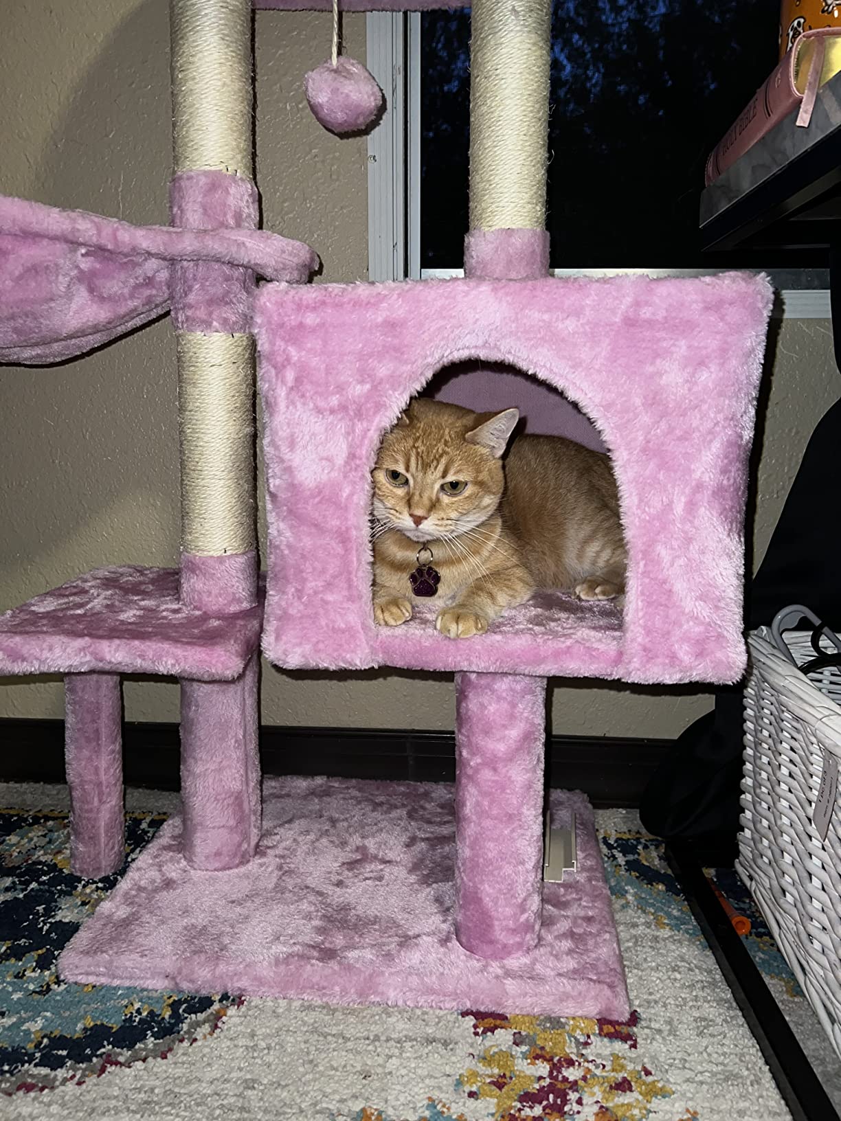 10/mo Finance FISH&NAP Cute Cat Tree Kitten Cat Tower for Indoor Cat