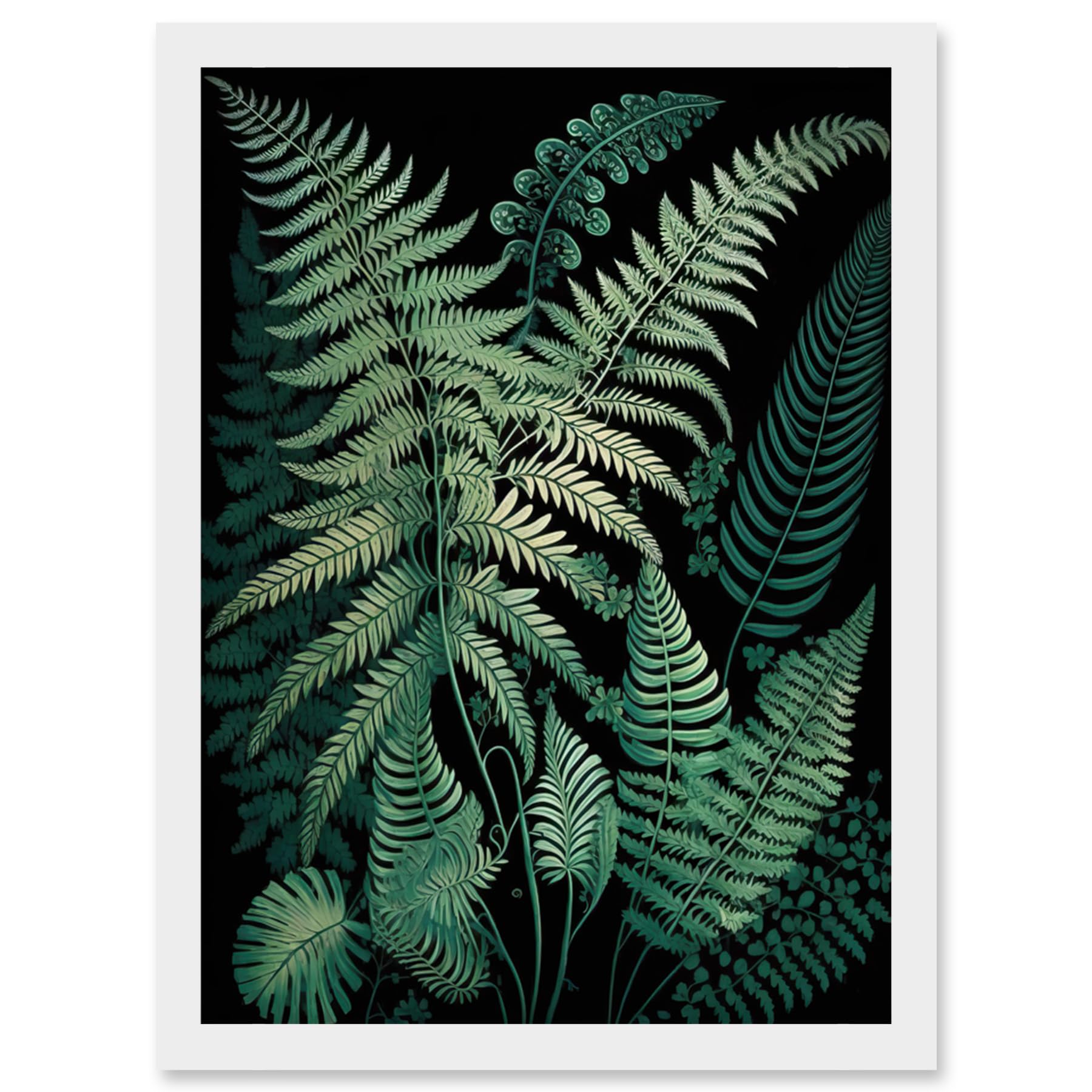 Artery8 Ernst Haeckel Style Fern Fronds Botanical Detailed Artwork Framed Wall Art Print A4