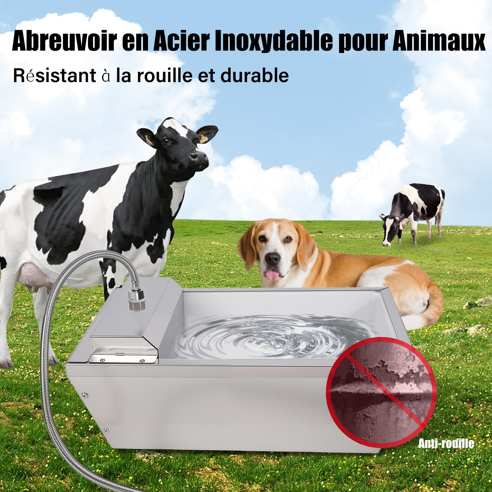 Trough d'eau Automatique De BéTail,Trough d'eau Automatique De Cheval De 13 litres avec Boule Flottante,Distributeur d'eau Automatique pour Chien en Plein Air,Inoxydable Auto-Remplissage PourChien