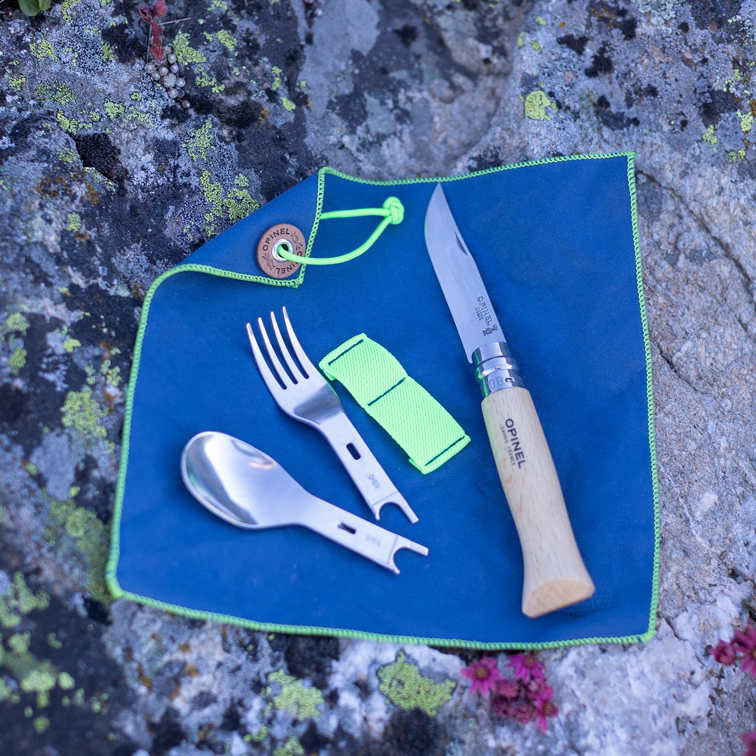PLUS PICNIC WITH N08 BEECH /1