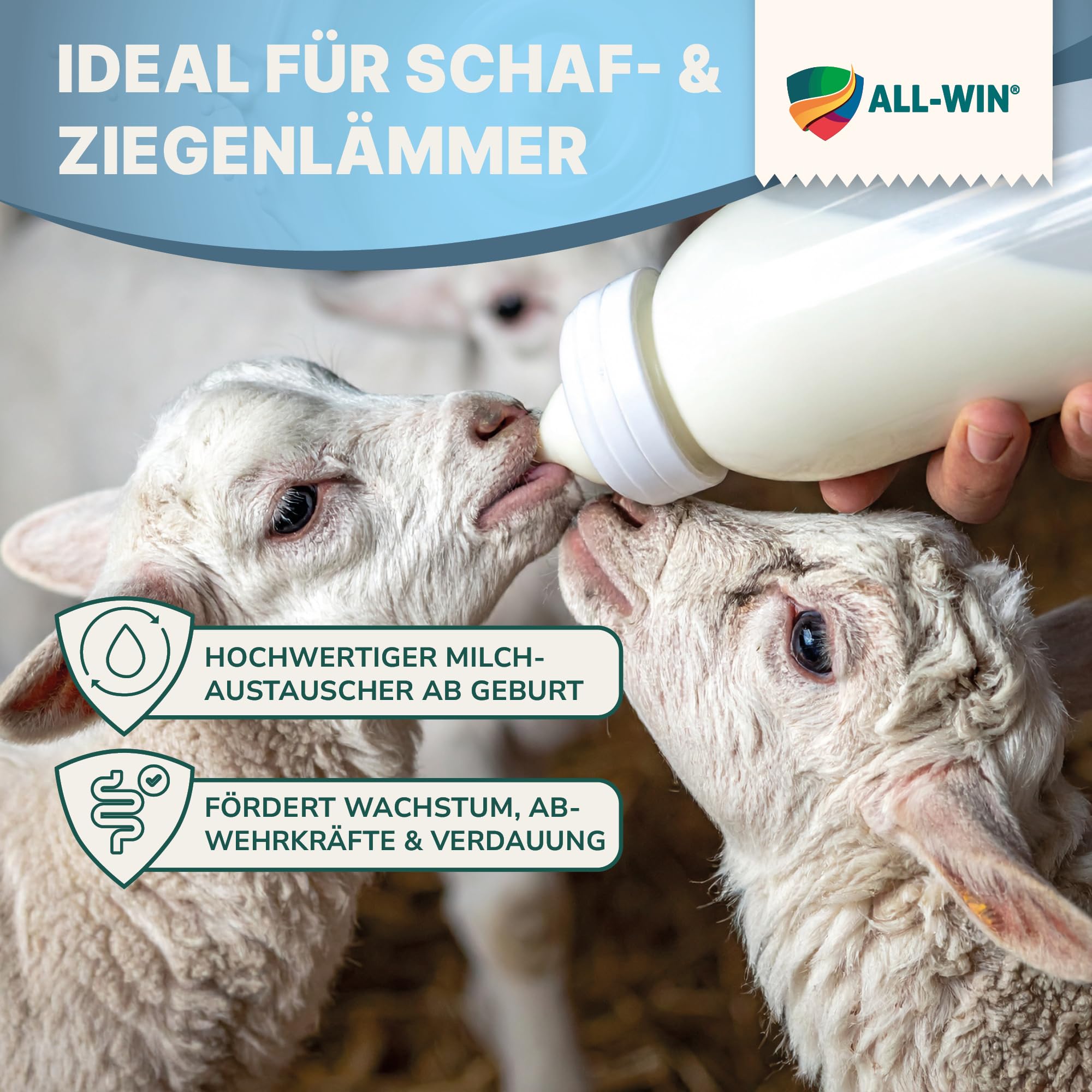 ALL-WIN Biotik Lämmermilch 25 kg – Milchaustauscher für Schaflämmer & Ziegenkitze | Premium Aufzuchtmilch mit Vitaminen A, D3 & E | Hochverdaulich & stabil | Optimale Nährstoffversorgung ab dem 1. Tag