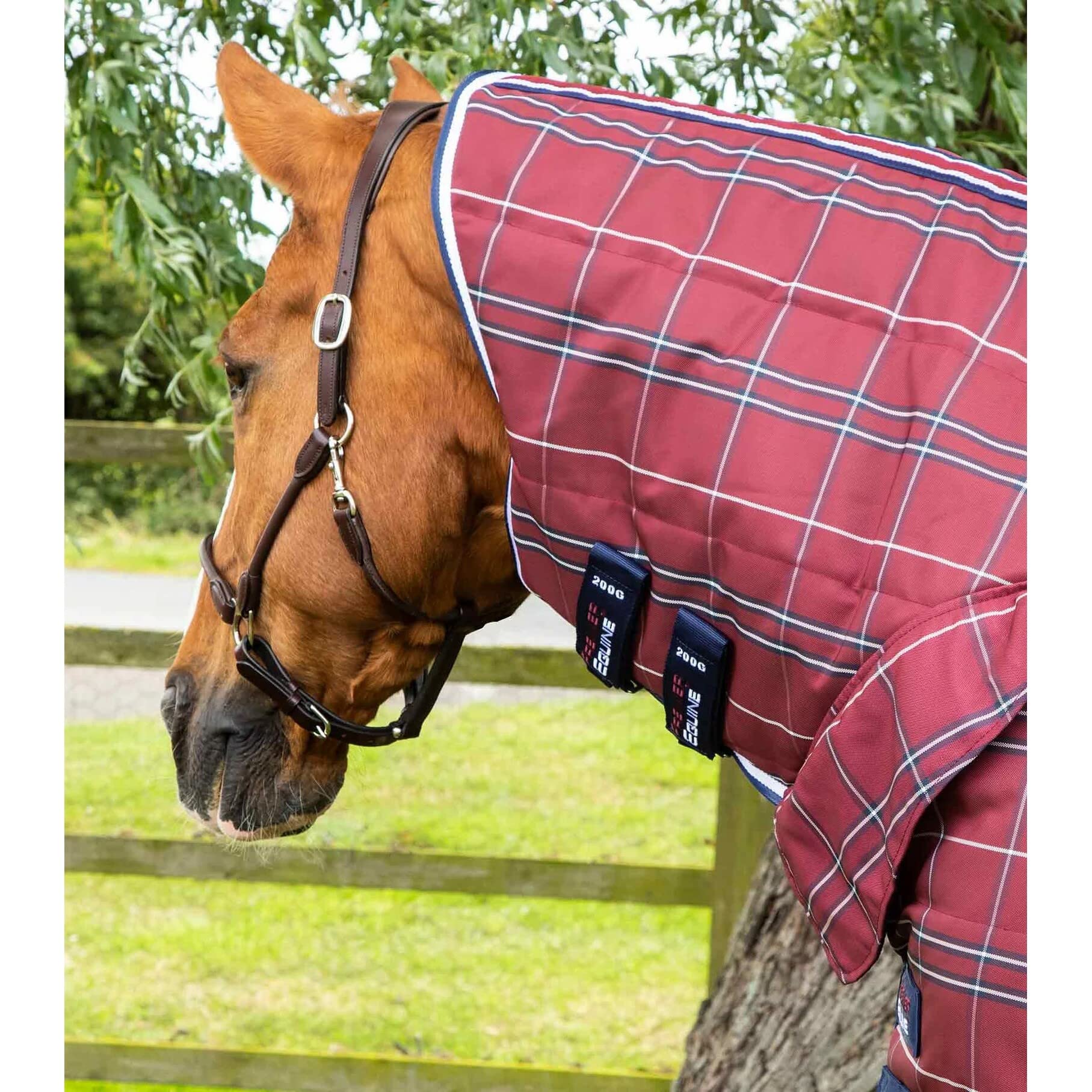 Premier Equine Manta de cuadra para Caballos Domus 200 g