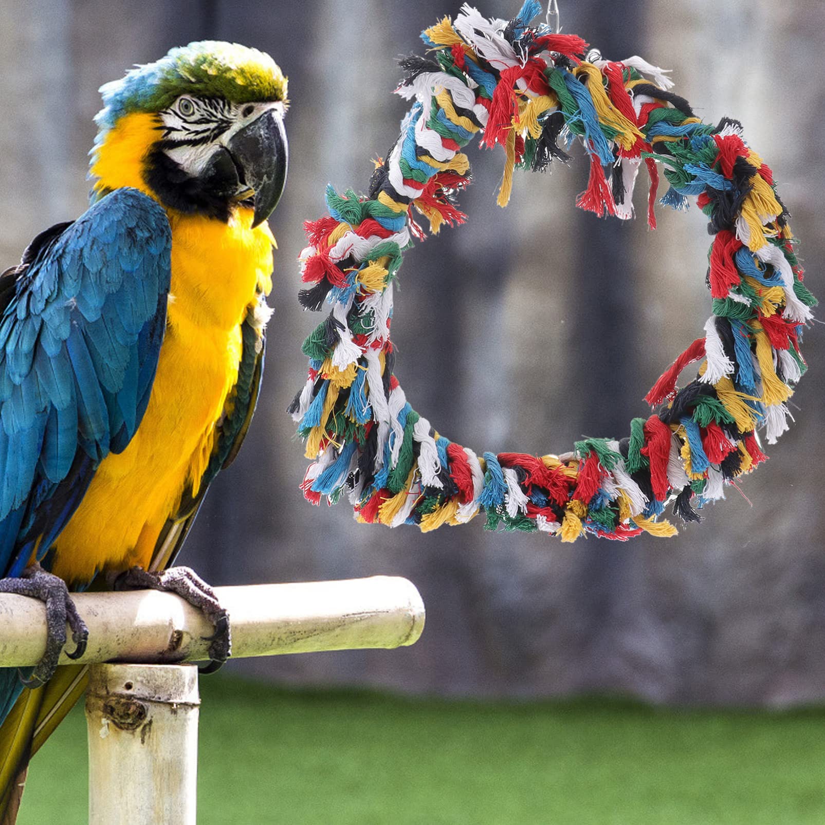 BESPORTBLE 2piezas Juguete De Columpio para Aves De Algodón Anillo para Aves Juguete Colorido para Periquitos y Cacatúas para Entretenimiento Cuidado Salud Pájaros Aleatorios