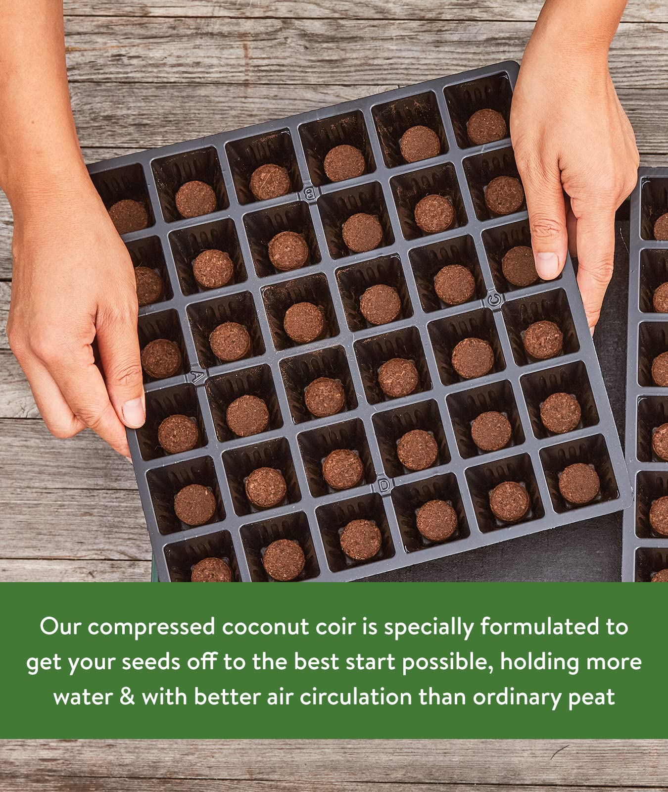 Burpee 72 count coir seed starting pellets