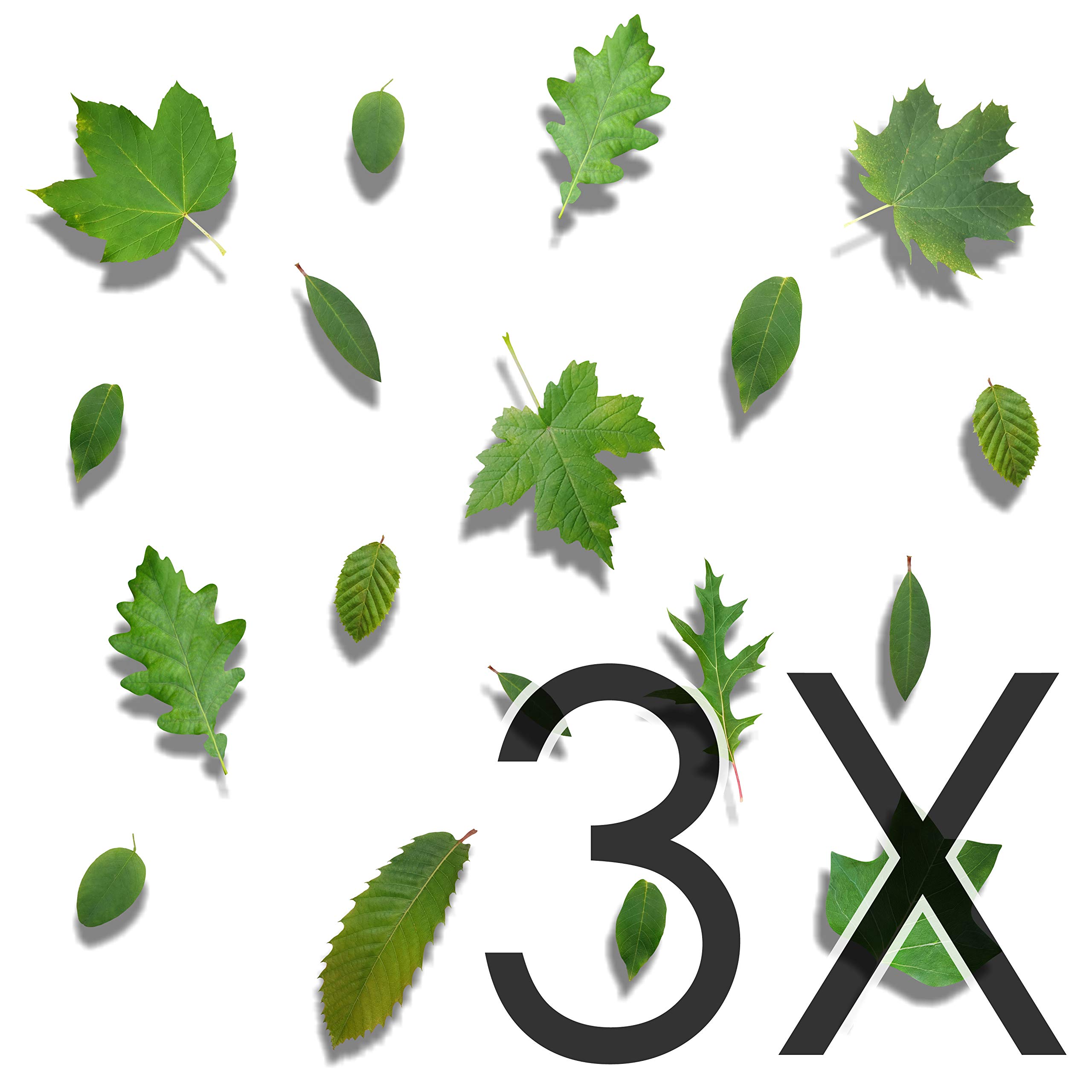 Set di 18 Adesivi a Forma di Foglie di Albero per Ogni Superficie, Decorati su pareti, prevenendo Colpi di Bambini e Uccelli sulla Finestra - Traslucidi - 3X