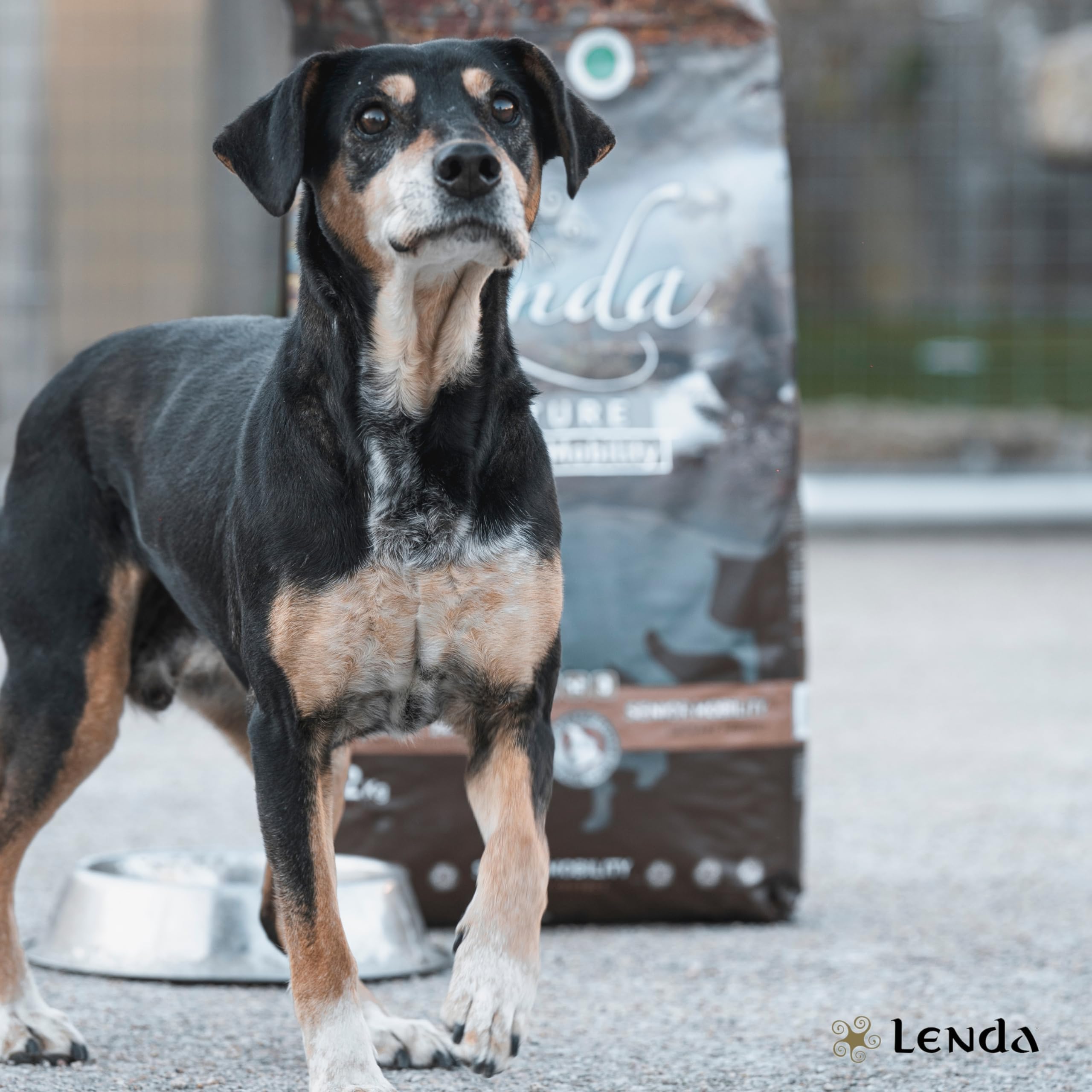 Lenda Mobility Senior 12 kg – Karma sucha dla starszych psów – Chondroprotektory wsparcie stawów – Wszystkie rasy – 1 szt.