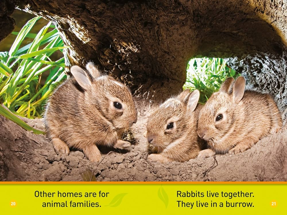 Amazon | National Geographic Kids Readers: Animal Homes (Pre