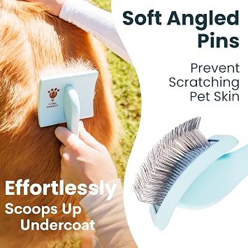 Slicker Brush for Dogs - Long Pin for Poodles, Doodles & Long Haired Dogs, Deshedding & Dematting Tool, Slicker Dog Brushes for Grooming (Blue, Curved Small)