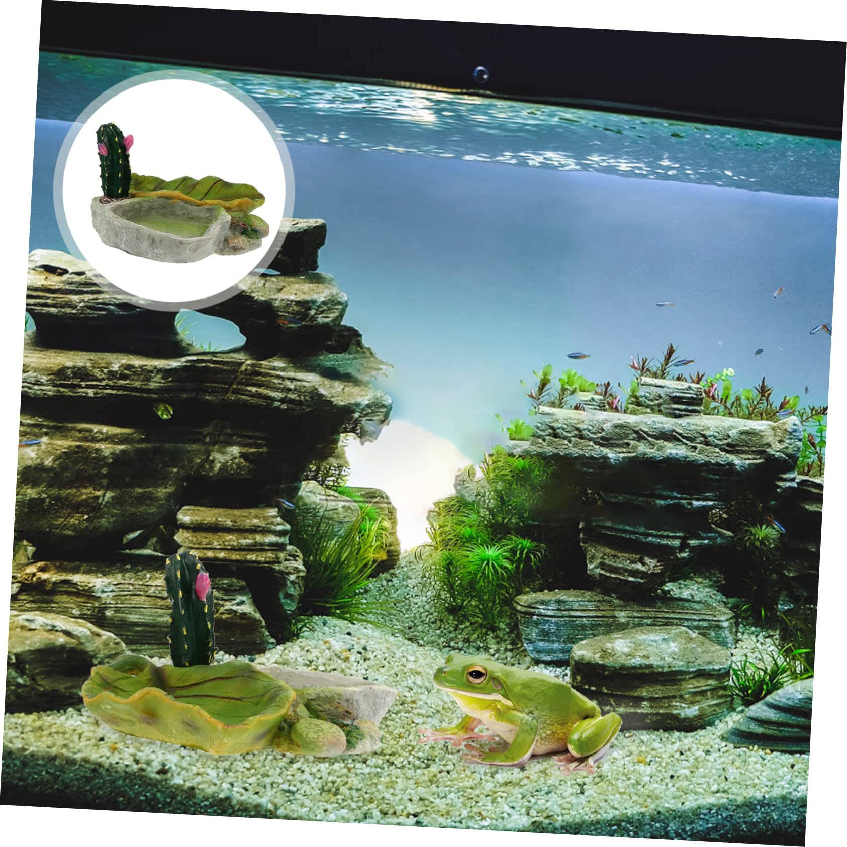 Cuenco de agua para reptiles Cuenco for alimentación de reptiles, 2 piezas, bandeja de alimentación de reptiles, cuenco de grillos, comedero for serpientes, plato de comida for tortugas, tronco de árb
