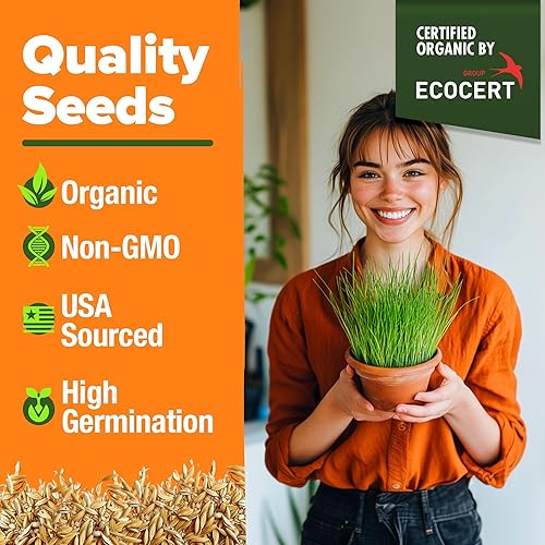 Miniatura 7 de HOME GROWN Paquete de semillas orgánicas de hierba para gatos (4 onzas), semillas de hierba de gato sin OMG para gatos de interior, hierba de avena