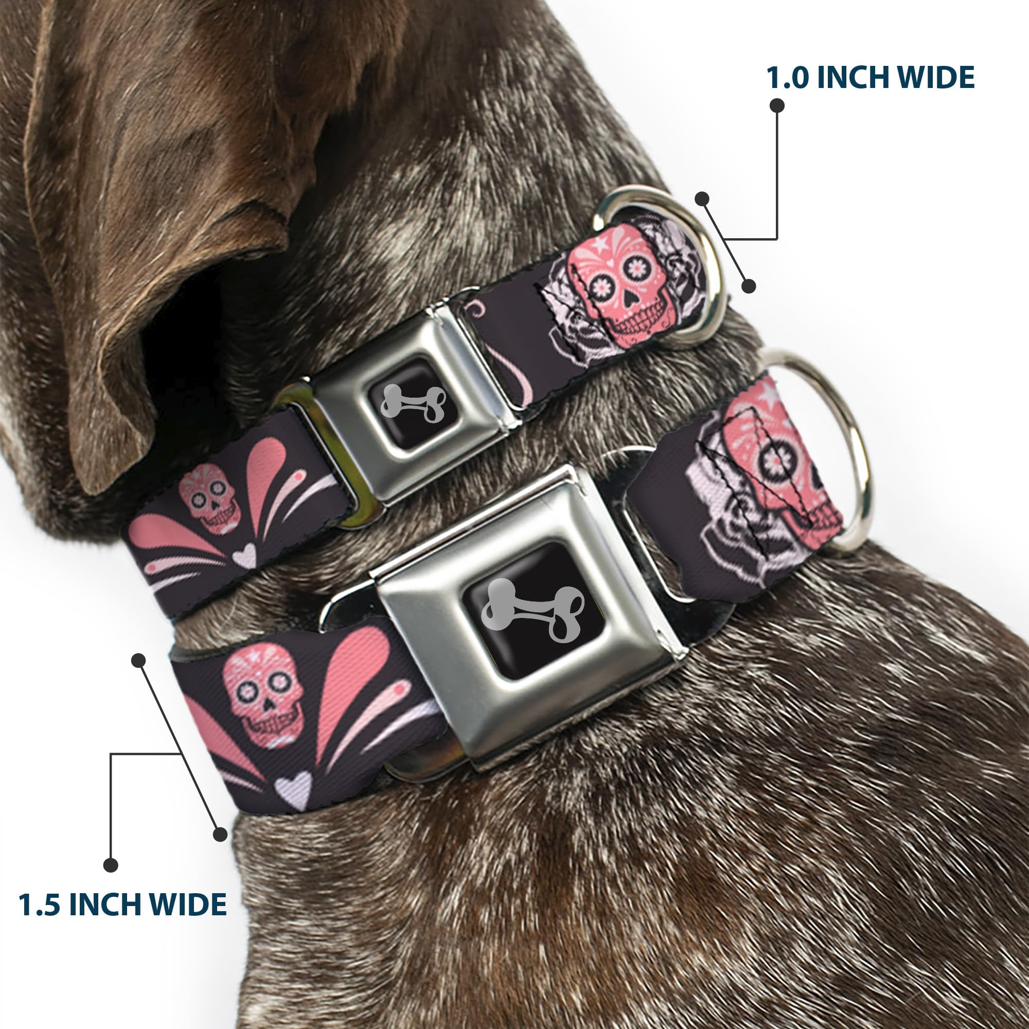 Buckle-Down Obroża dla psa z klamrą pasa bezpieczeństwa - cukrowe czaszki szaro-różowe - szerokość 3,8 cm - pasuje na szyję 33-45 cm - S