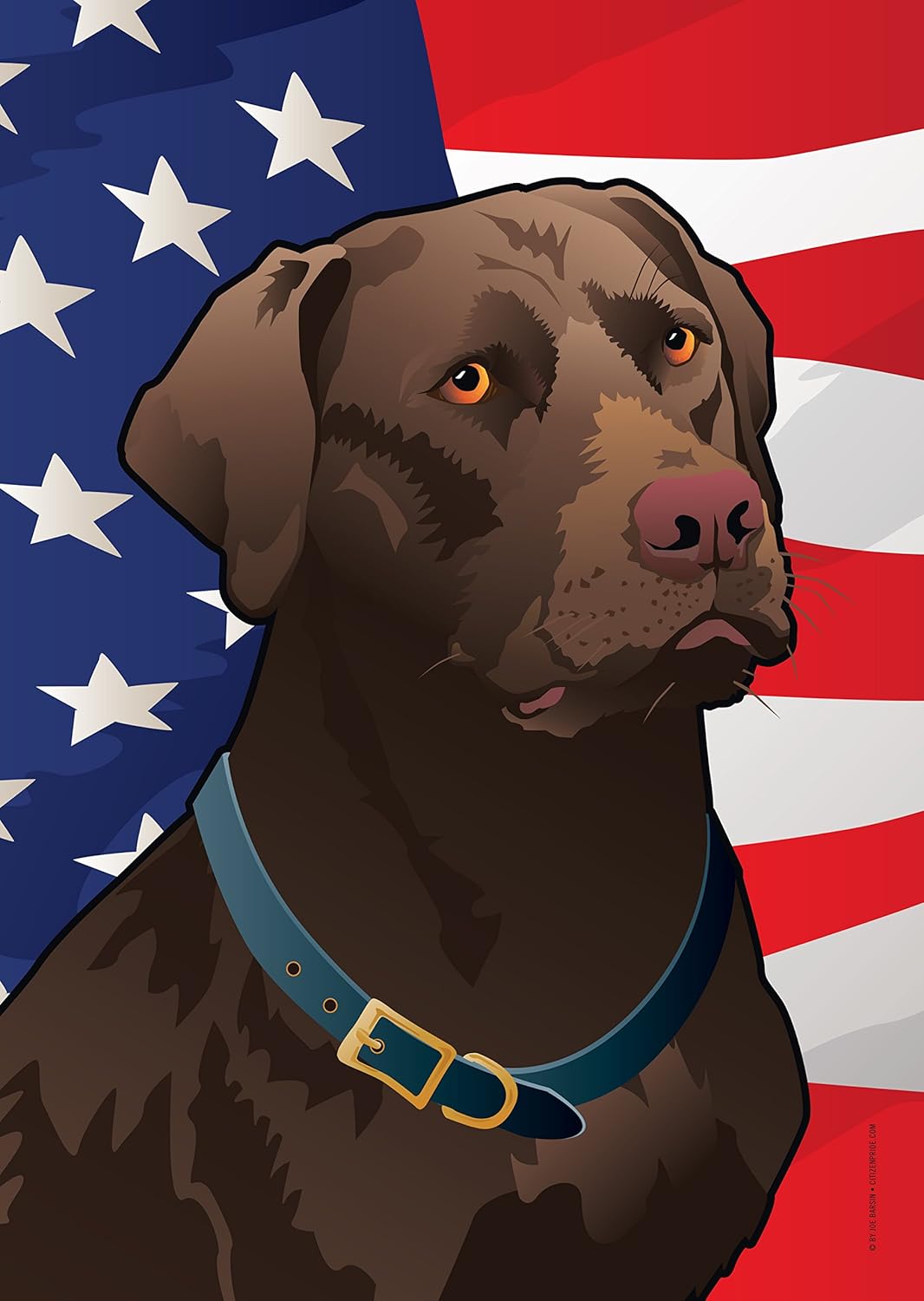 USA Chocolate Lab Large House Flag by Joe Barsin, 28x40