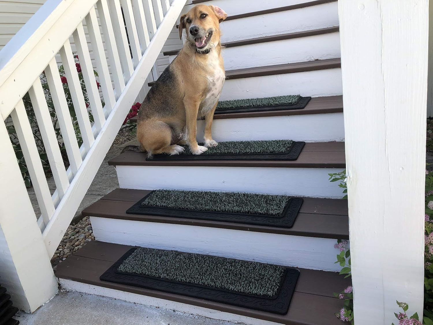 Clean Machine 10376924 Filigree Dirt Trapper Stair Treads, 8.5" x 29.5", Evergreen, 2 Pack