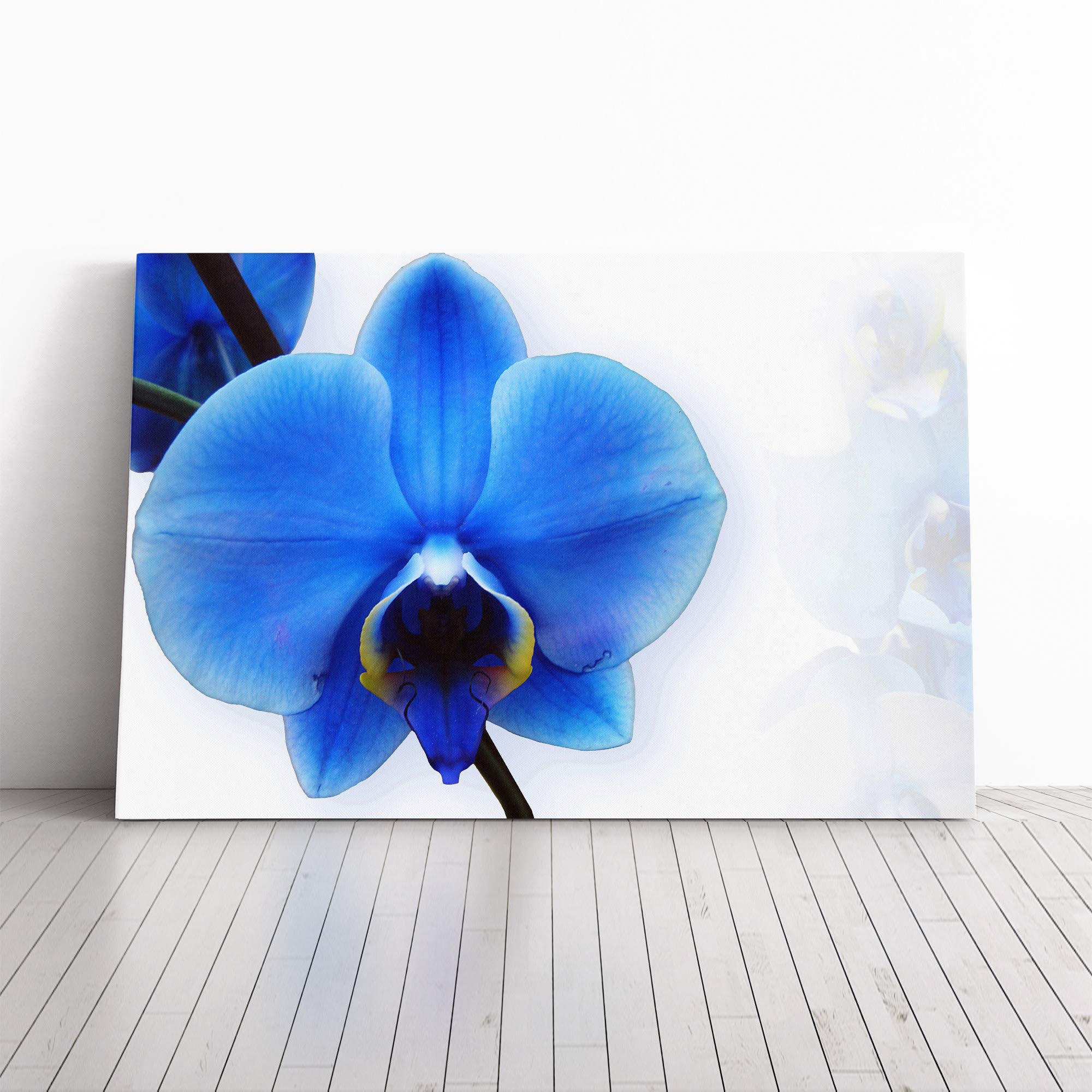 Flower Blue Orchid Canvas Print | Gallery Wrapped 30mm Frame Wall Art | 30x20 inches | Ready to Hang | Modern Floral Picture | Living Room Bedroom Lounge Office