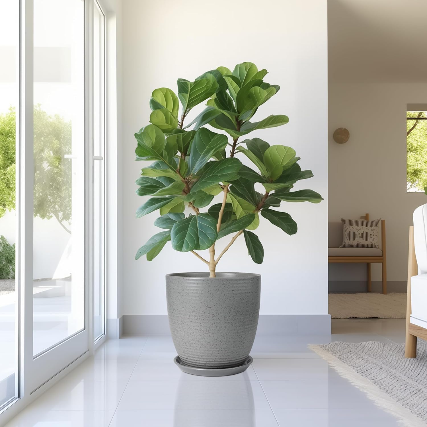 Plant Pot Saucers - Ceramic Plant Saucers for Outdoors 12 inch Plant Trays for Indoors No Holes Plant Drainage Trays Round Flower Pot Saucers Plant Plates to Catch Water 2 Pack Gray