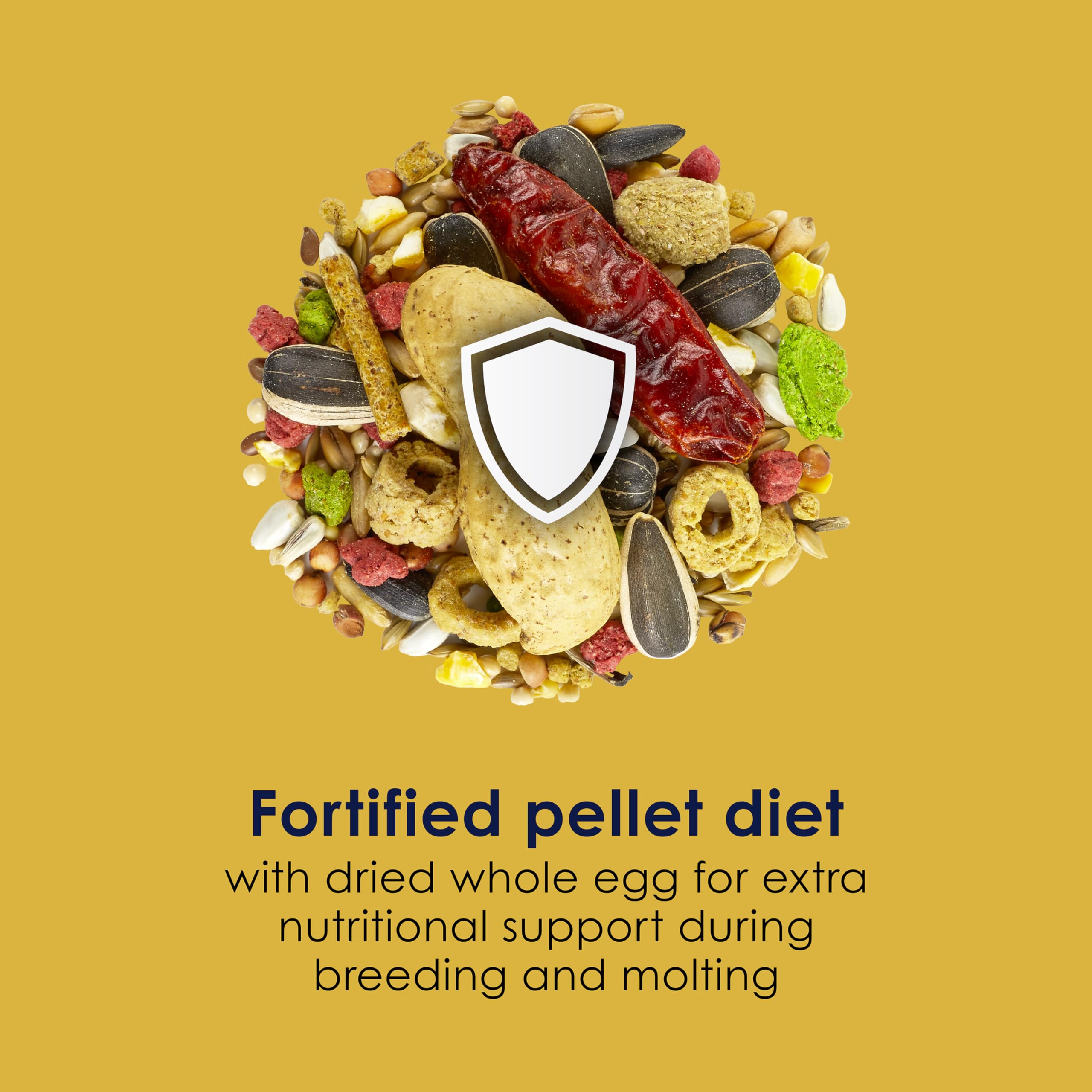 Kaytee forti-Diet Pro Salud Egg-cite. Conure & Agapornis Alimentos, 3-LB Bolsa