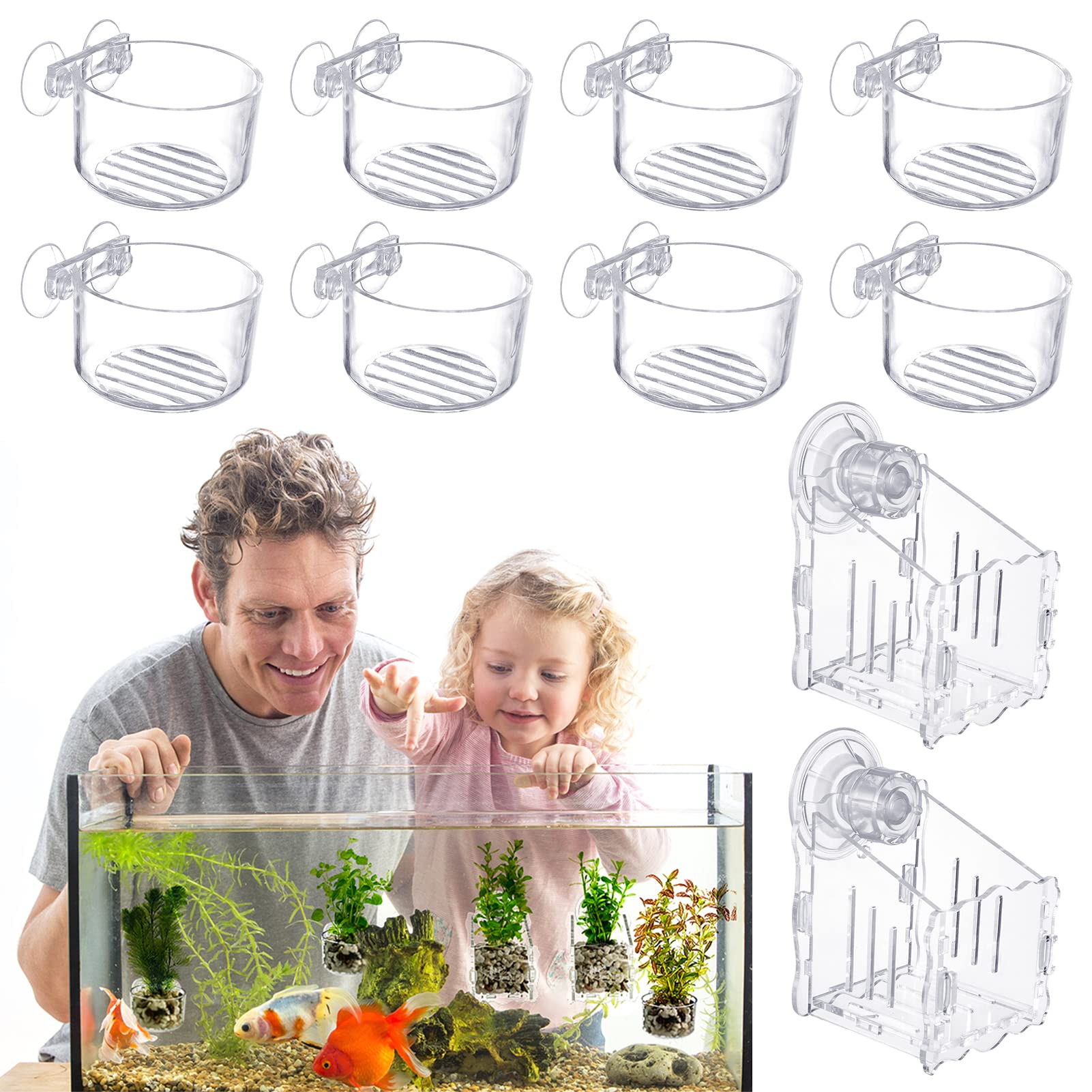 Amazon Com 10 件水生植物杯帶孔 壓克力水生植物盆附強力吸盤 植物架水族館裝飾適用於水生持有人魚缸水族館水族館aquascape 裝飾 Amazon Com 10 件水生植物杯帶孔 壓克力水生植物盆附強力吸盤 植物架水族館裝飾適用於水生持有人魚缸水族館水族館aquascape 裝飾