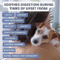 Vista 5 de Under the Weather Dieta suave para perros Fácil de digerir para perros enfermos Siempre esté listo Contiene electrolitos Carnes naturales