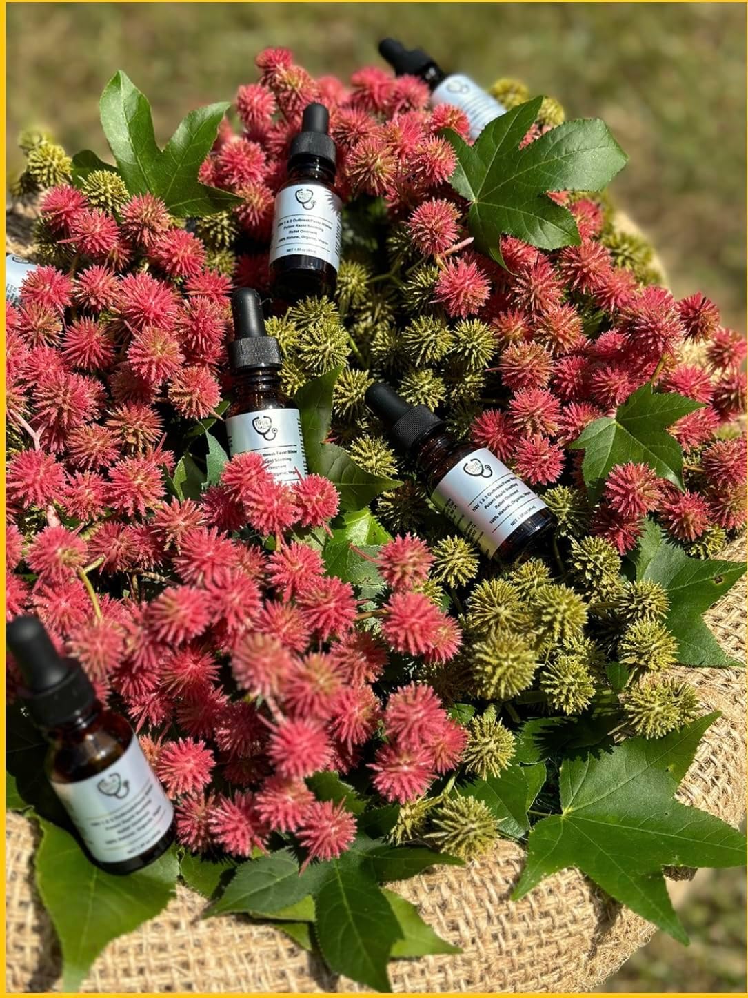 TRUE MD HSV 1&2 Outbreak/Fever Blister, Potent Rapid Soothing Relief Ointment. 100% Natural, Organic, Vegan - Image 5