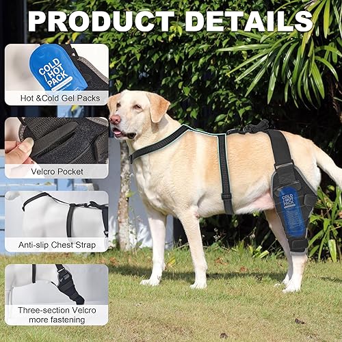 Miniatura 6 de ACL - Rodillera para perros para pierna trasera, compresa calientefría, adecuada para displasia de articulaciones de perro, soporte de estabilidad y