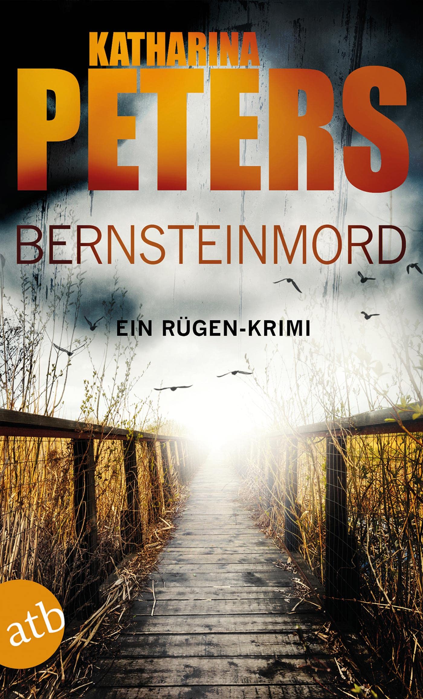 Bernsteinmord Ein RügenKrimi (Romy Beccare ermittelt, Band 4