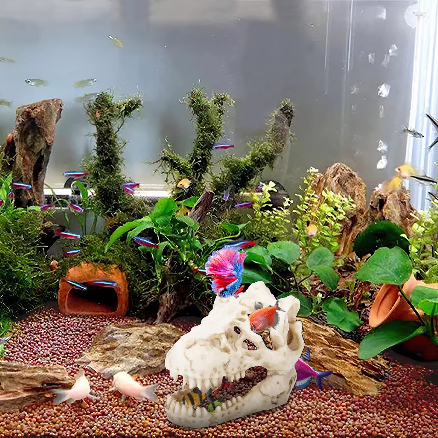 2Pcs Aquarium Decoration Dinosaur Skull Skeleton Fish Tank Cave Pet Reptile