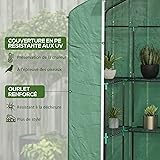 Outsunny PE Garden Greenhouse with Shelves 3 Levels, Balcony Greenhouse, Reinforced Tarpaulin 135 g/m², Steel Frame, Roll-Up Zip Door, for Vegetables, Plants Flowers, 140 x 73 x 190 cm, Green - 4