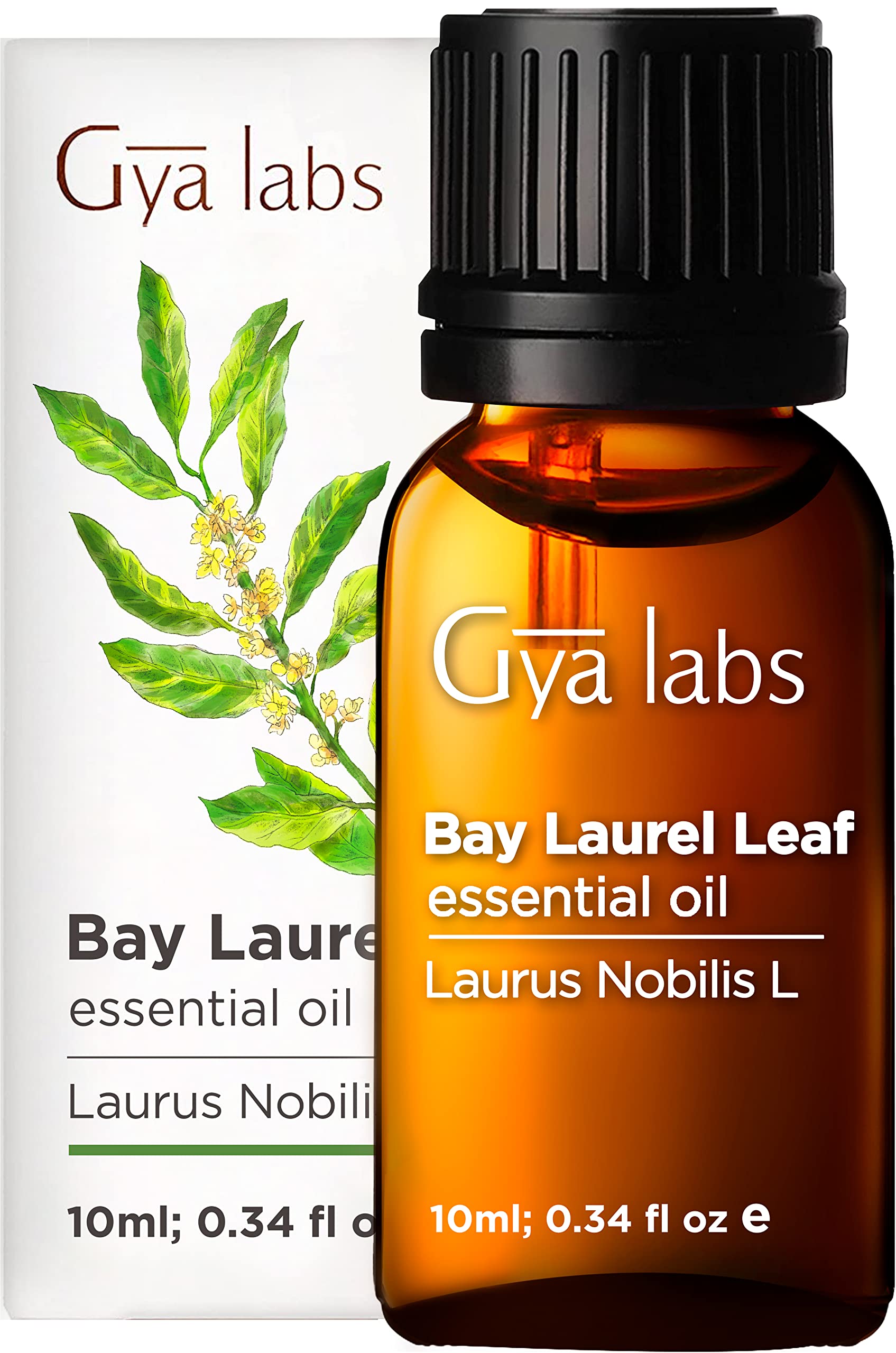 Gya Labs Bay Leaf Essential Oil for Aromatherapy – 0.34 Fl Oz – Premium Grade Essential Oils for Diffuser, Aromatherapy, Hair Care, Skin Care, Body, Massage & DIY Candle Making Scents