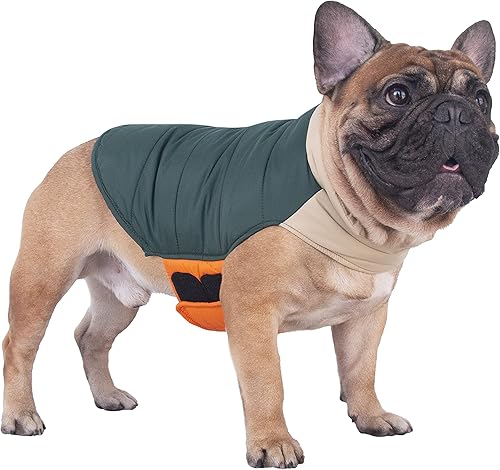 iChoue Abrigos de invierno de bulldog francés, chaquetas para perro, chalecos acolchados de algodón para Pug English Boston Terrier Pitbull -
