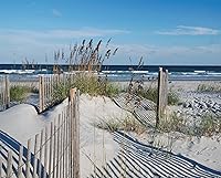 Vista 1 de Heritage Puzzle Inc. Wild Dunes - Rompecabezas de 1000 piezas con temática de playa para adultos, rompecabezas oceánicos, 30 x 24 pulgadas, cartón