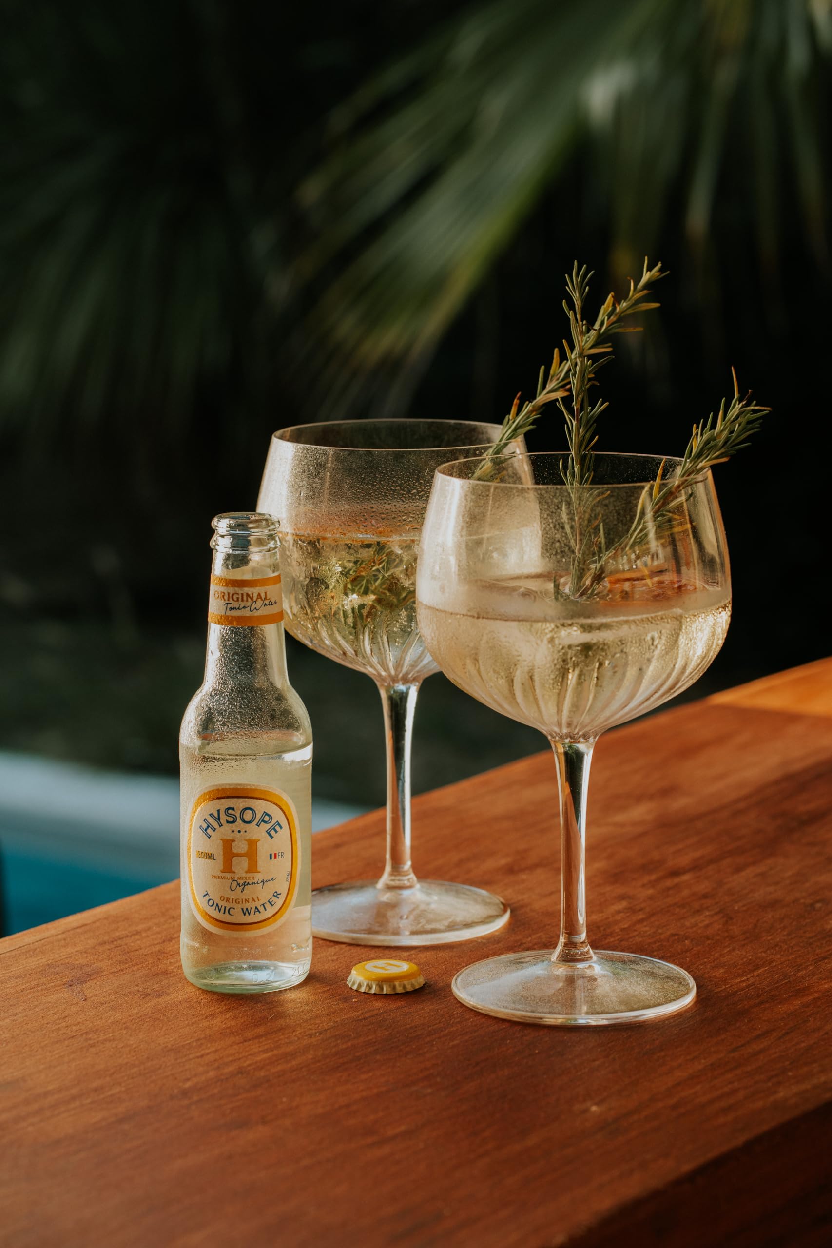 HYSOPE Tonic Water Original – Origine France – Premium Mixer Bio – Idéal en cocktail - Notes d'orange amère - 24 x 20cl