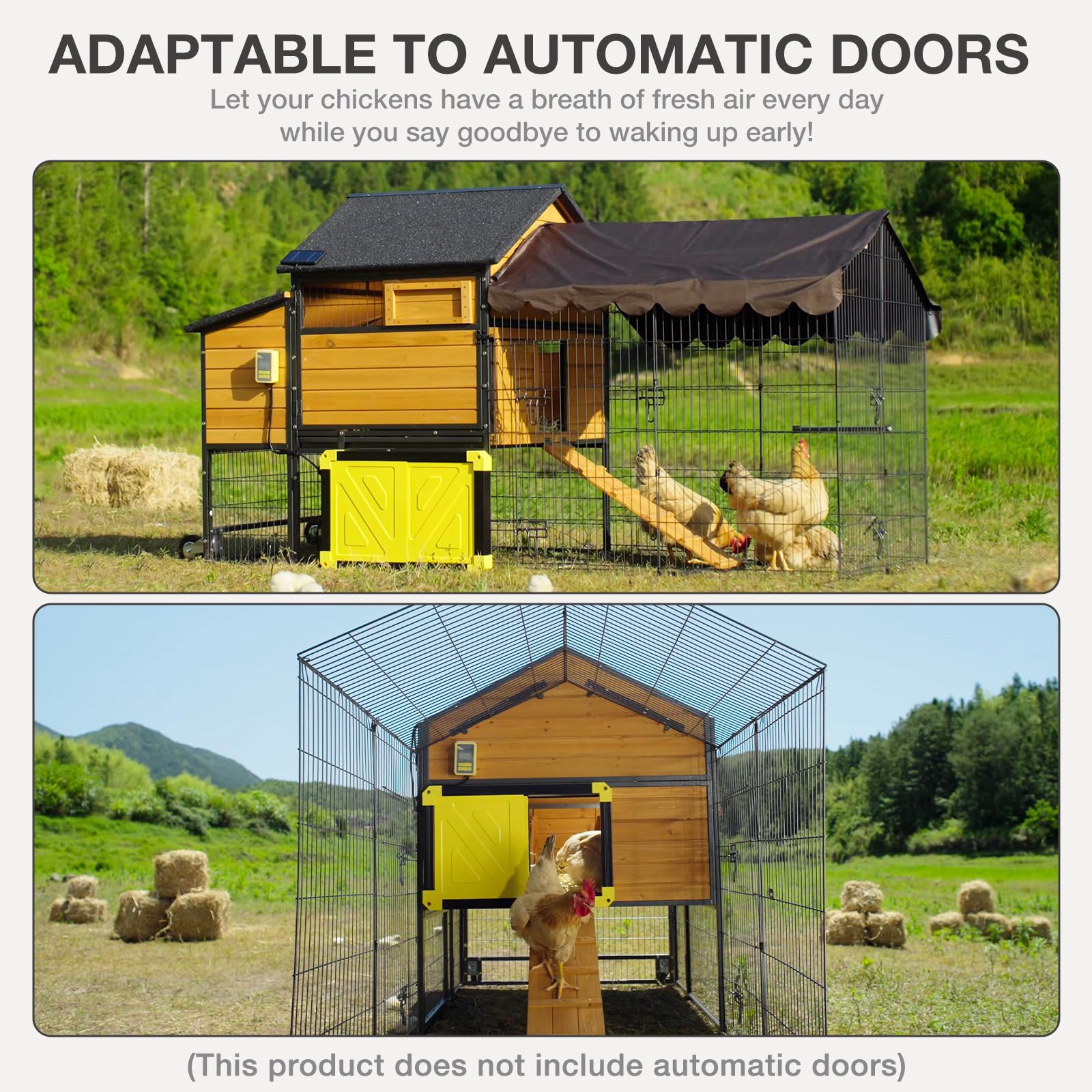 https://m.media-amazon.com/images/I/815isSEoAgL.jpg