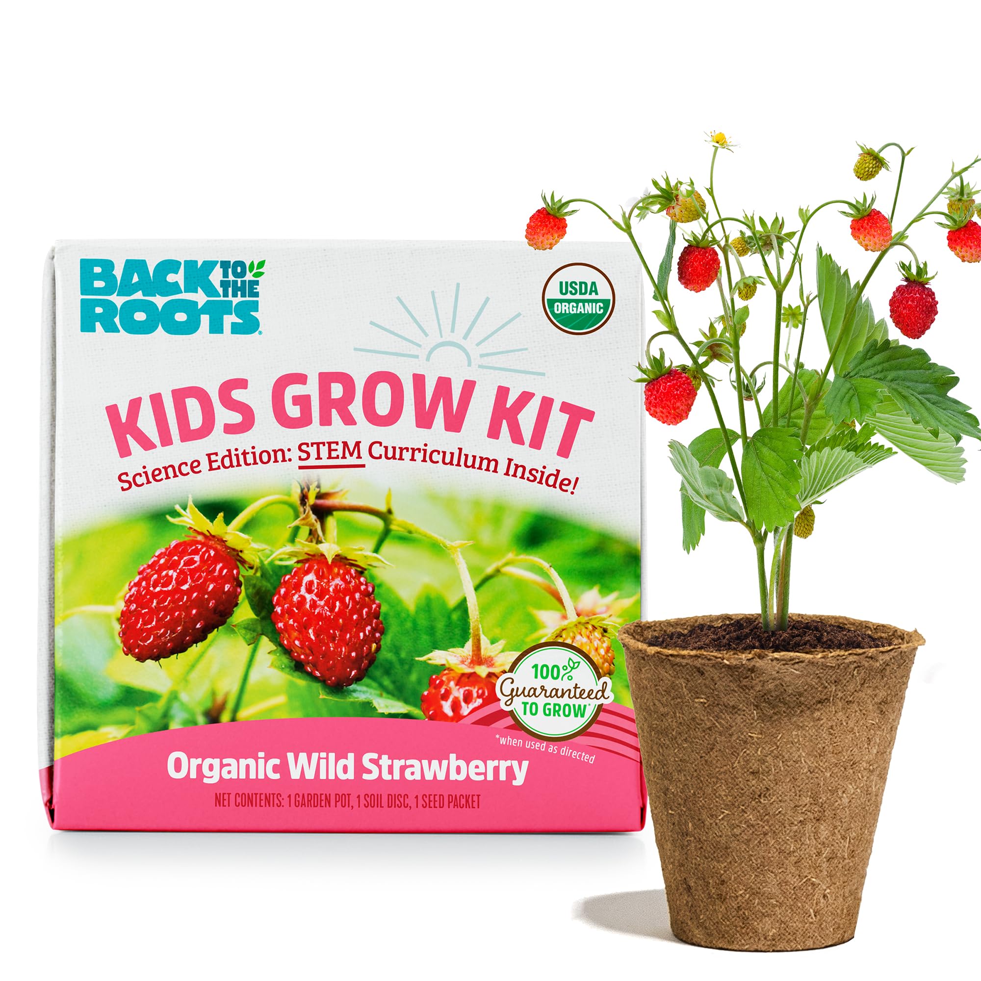Back to the Roots Organic Wild Strawberry Grow Kit