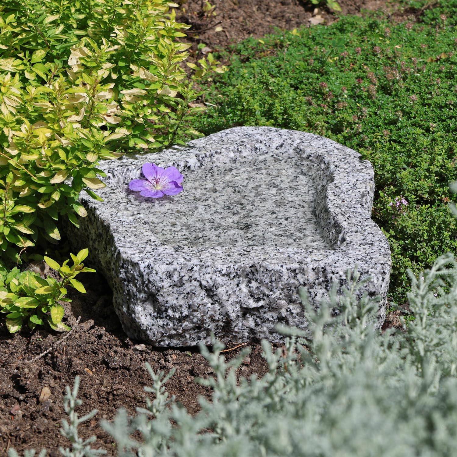 CLGarden Granit Vogeltränke frostsicher Vogelbad Naturform Winterfest Schale Tränke Natur Stein