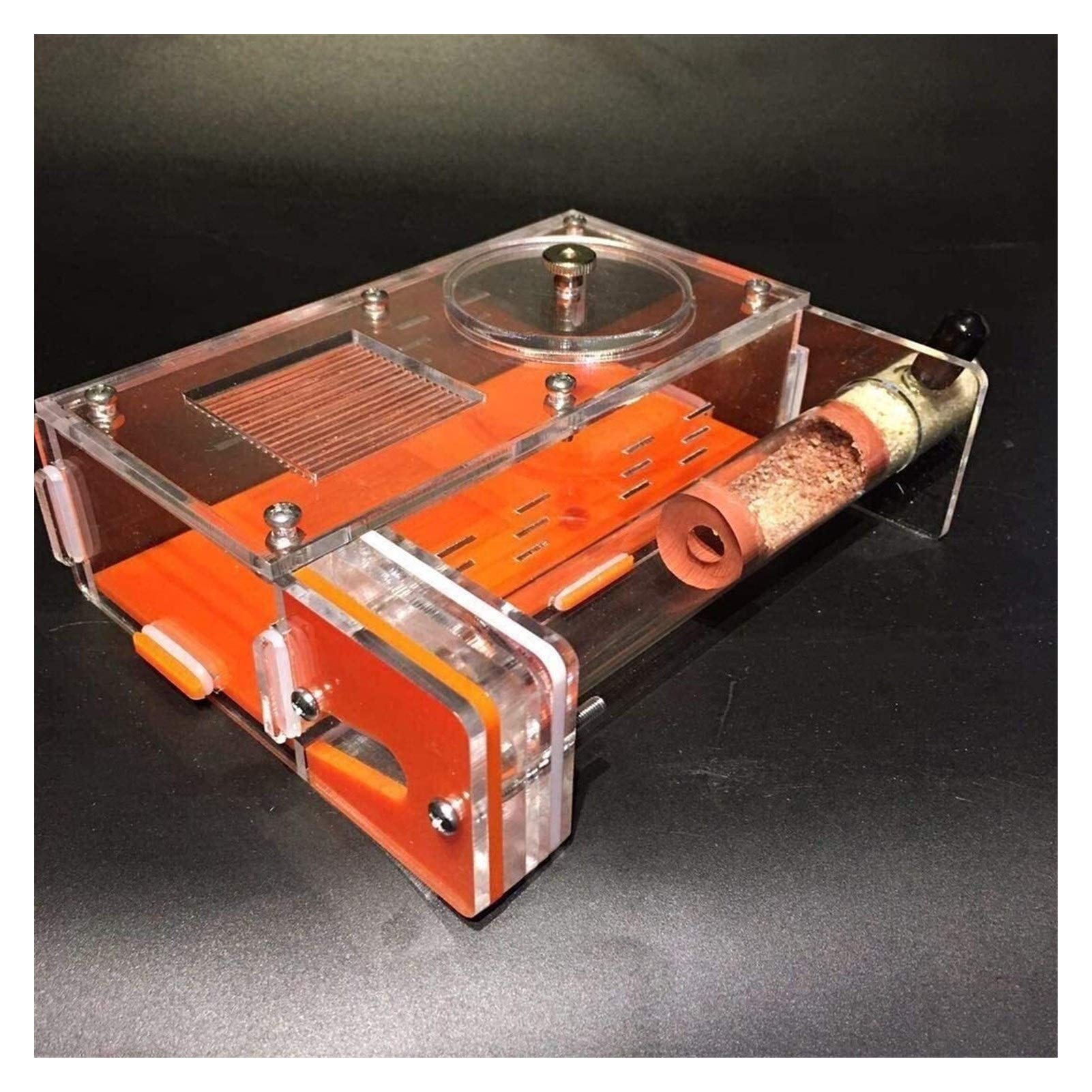 Universal Dunescape 110 Butterfly