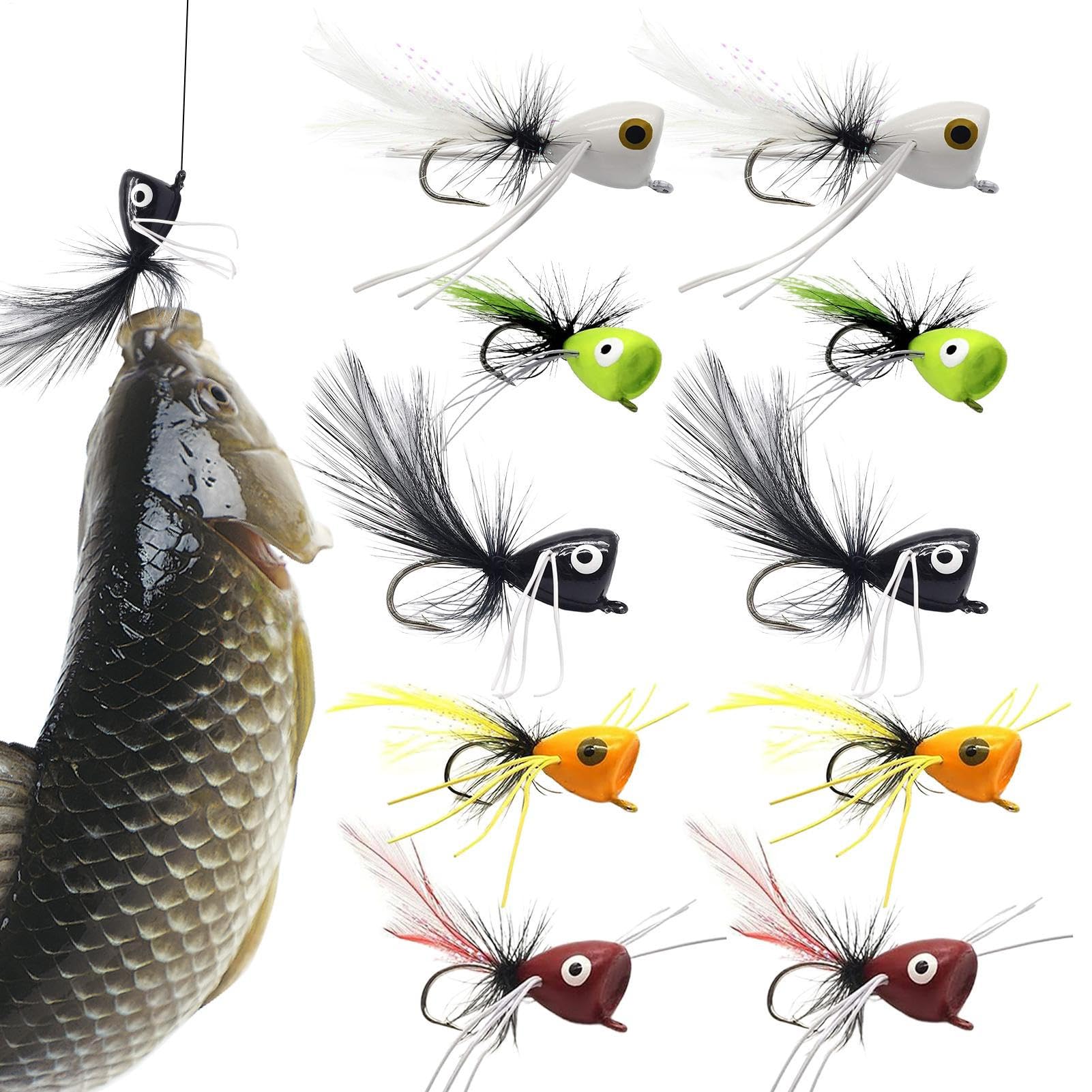 Poppers for Fly Fishing – Surtido Kit of Coloured Poppers | Accesorios de acuática