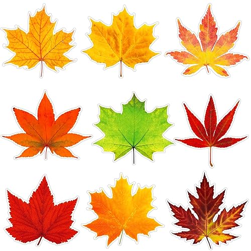 Ferraycle 198 Pcs Fall Bulletin Board Decorations Fall Leave Cutout