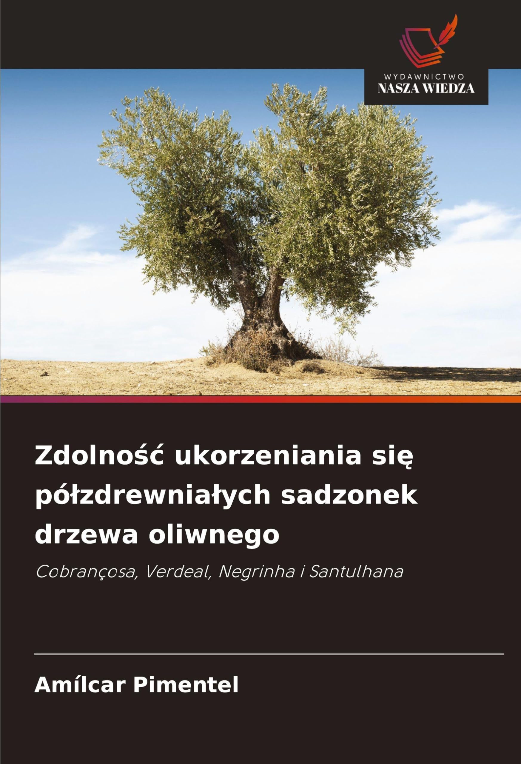 Zdolno¿¿ ukorzeniania si¿ pó¿zdrewnia¿ych sadzonek drzewa oliwnego: Cobrançosa, Verdeal, Negrinha i Santulhana