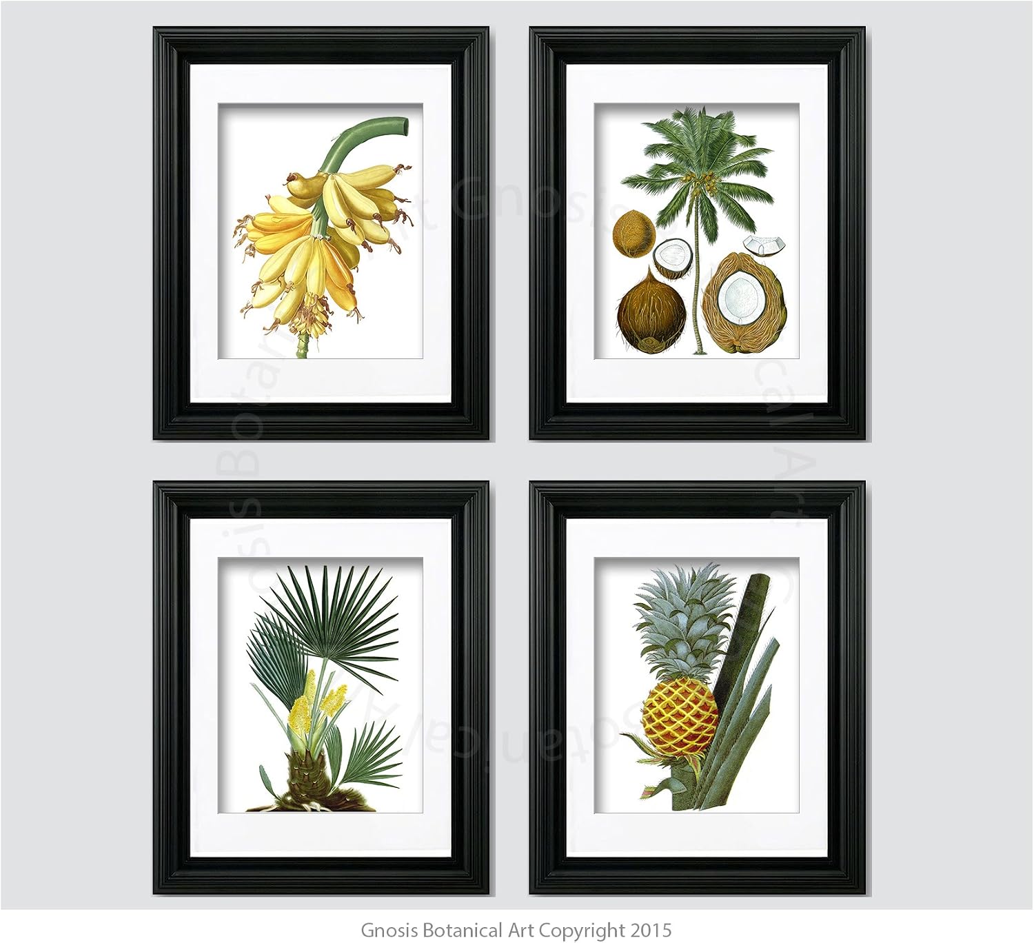 Tropical Palm Tree Decor Set of 4 Unframed Prints Palm Tree Pineapple Coconut Tree Banana