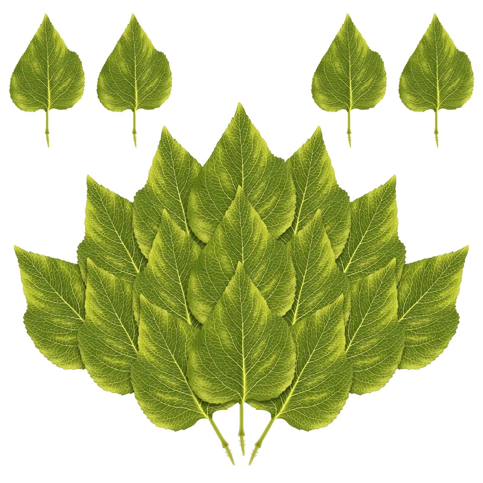 EVTHUR 60 Pcs Premium Fake Leave Bulk Artificial Greenery Foliage for Crafts, Realistic Silk Leaves for Artificial Sunflowers Wreaths, Wedding Bouquets, Home Decor, Faux Palm Leaves Alternative