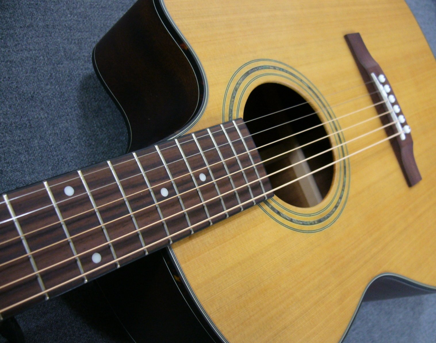Amazon | Morris Performers Edition/SR-701E NAT ・限定仕様