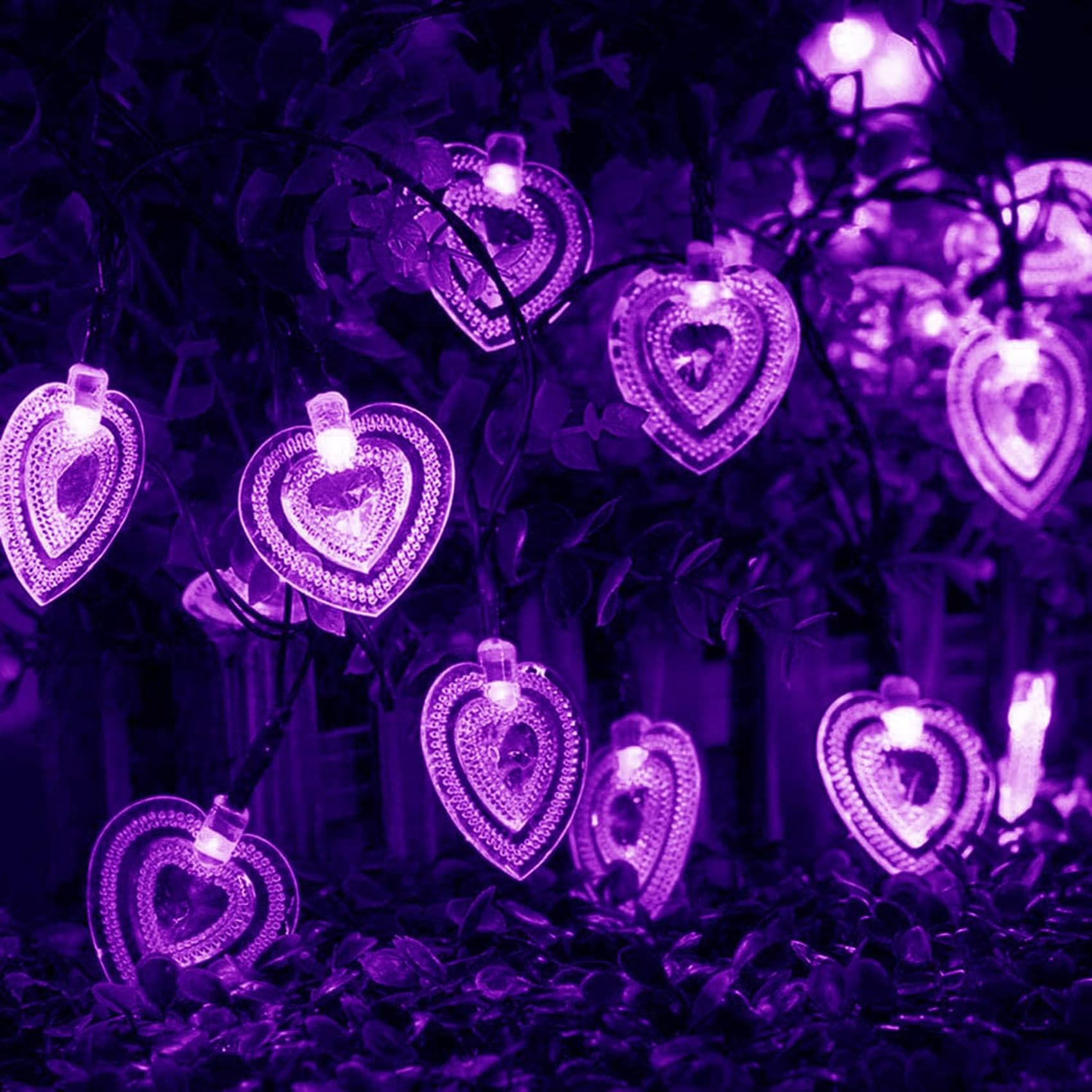 DINOWIN Solar Heart Shaped String Lights 20FT 30LED Clear Love Heart Fairy String Valentine Day Decoration Fairy Lights for Home Garden Christmas Valentine's Day Wedding Party (Purple)