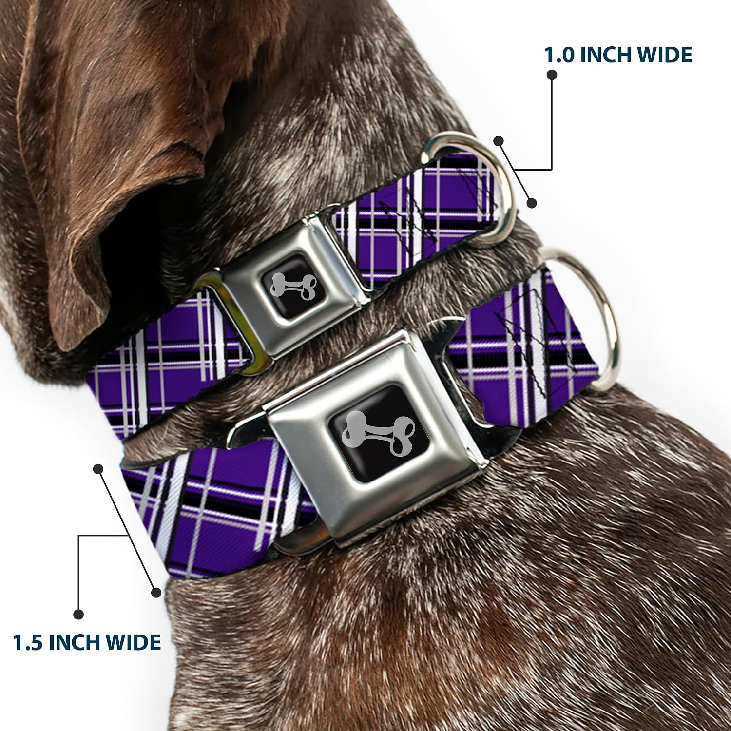 Buckle-Down Houndstooth Gray/Purple/White Dog Collar Bone, Wide Large/18-32