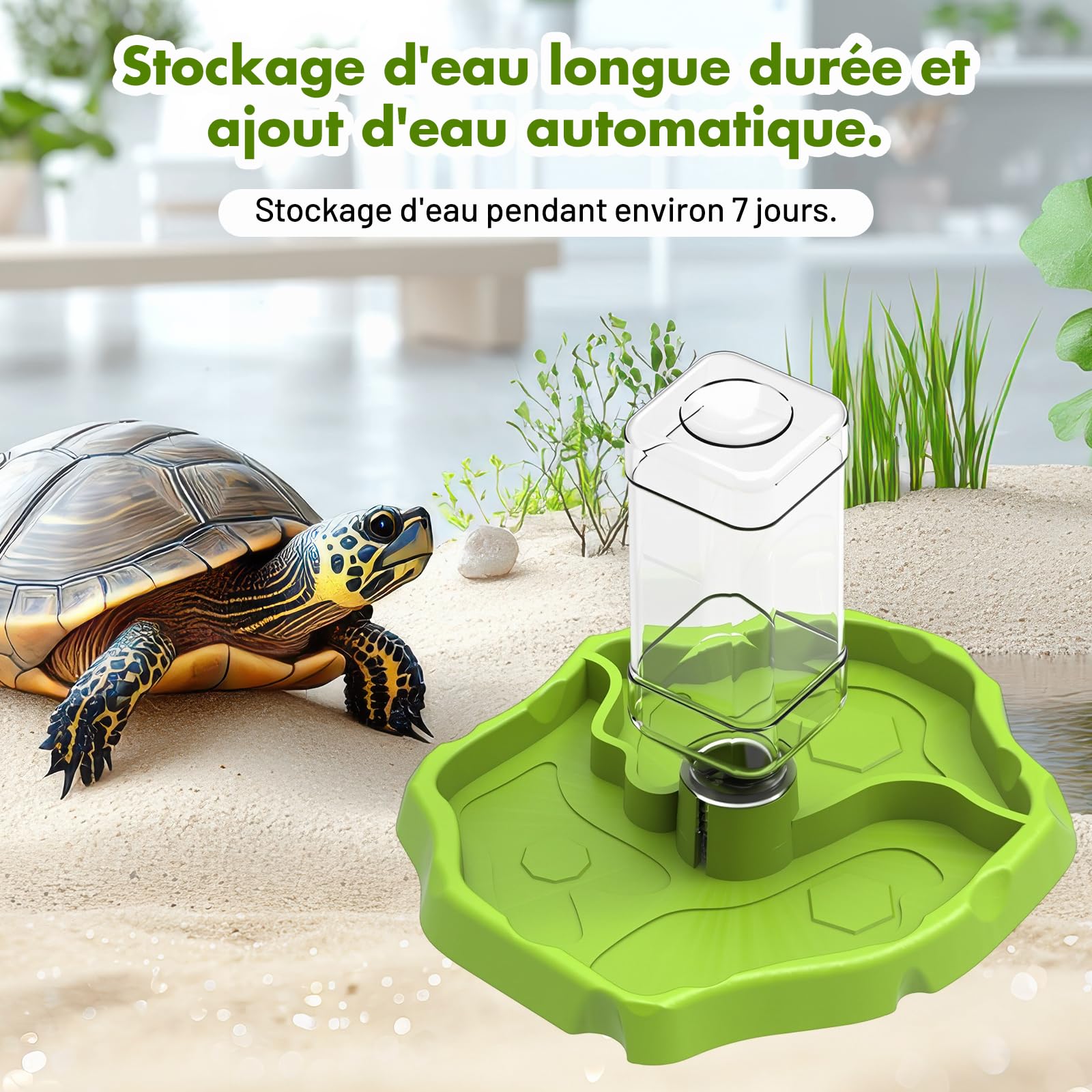 Sharplace Mangeoire pour Reptiles et Accessoires d'aquarium Conteneur Accessoire Polyvalent Mangeoire à Eau pour Reptiles Plat de Nourriture pour, Herbe Verte